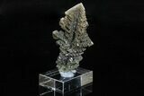 Skeletal Halite Crystals with Tolbachite - Poland #175422-1